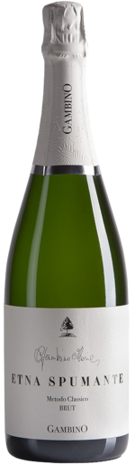 bottiglia di Etna Spumante
